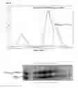 Fig. 06 - Methods and reagents for analyzing protein-protein interfaces