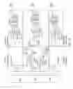 Fig. 09 - Pixel-design for use in a radiation detector