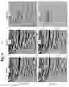 Fig. 07 - Curvelet 4D: 4D denoise in curvelet domain