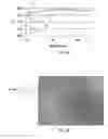 Fig. 02 - Enhanced, durable silver coating stacks for highly reflective mirrors