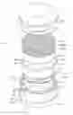 Fig. 01 - Lighting device and display device