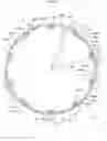 Fig. 06 - Lighting device and display device