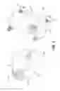Fig. 02 - Fiber optic cable external shield connector