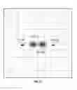 Fig. 33 - Systems and methods for improved focus tracking using a light source configuration