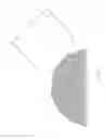 Fig. 06 - Optical system, immersion liquid holder and observation device