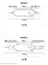 Fig. 06 - Direct-drive polymer modulator methods of fabricating and materials therefor