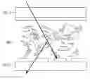 Fig. 01 - Smart window system and control method therefor