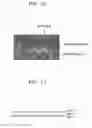 Fig. 08 - Pellicle for photomask, reticle including the same, and exposure apparatus for lithography