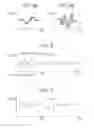 Fig. 05 - Image forming apparatus and correction of speed fluctuation of a sheet member through the image formatting apparatus