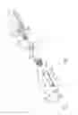 Fig. 07 - Portable electronic device and active capacitive stylus thereof