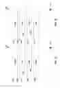 Fig. 07 - Drag and drop insertion control object