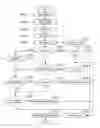 Fig. 01 - Information processing apparatus, non-transitory computer readable recording medium that records printer driver program, and blank page handling method