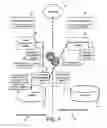 Fig. 05 - Methods, devices and systems for maintaining consistency of metadata and data across data centers