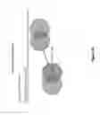Fig. 31 - Interrogatory cell-based assays and uses thereof