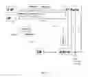 Fig. 04 - IDENTITY VERIFICATION BY COMPUTATIONAL ANALYSIS OF GENOMIC DNA