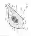 Fig. 12 - Automatically identifying regions of interest on images of biological cells