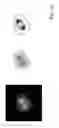 Fig. 14 - Automatically identifying regions of interest on images of biological cells