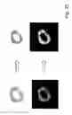 Fig. 23 - Automatically identifying regions of interest on images of biological cells