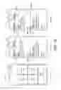 Fig. 02 - Auto-Calendaring