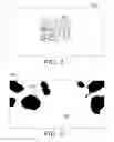 Fig. 06 - Illumination estimation from a single image