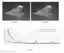 Fig. 05 - Consistent 3D rendering in medical imaging