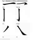 Fig. 18 - Chinese Stroke Toys