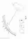 Fig. 13 - System for cosmetic and therapeutic training
