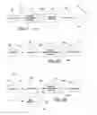 Fig. 02 - Apparatus and method for preparing, storing, transmitting and displaying images