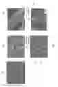 Fig. 04 - Electrode thin film and method for manufacturing the same