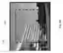 Fig. 08 - Electrode thin film and method for manufacturing the same