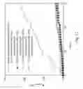 Fig. 17 - Electrode thin film and method for manufacturing the same