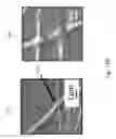 Fig. 19 - Electrode thin film and method for manufacturing the same