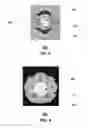 Fig. 03 - Apparatus of communication utilizing wireless network devices