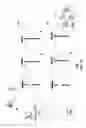 Fig. 13 - Apparatus of communication utilizing wireless network devices