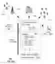 Fig. 14 - Apparatus of communication utilizing wireless network devices