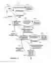 Fig. 08 - System and method for processing information via networked computers including request handlers, process handlers, and task handlers