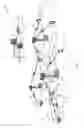 Fig. 02 - Uplink power headroom report