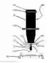 Fig. 01 - Collet contrast disk