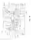 Fig. 13 - Planting trench closing systems, methods, and apparatus