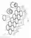 Fig. 02 - Planting pot and tray system and method