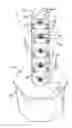 Fig. 01 - Aeroponic column