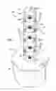 Fig. 02 - Aeroponic column