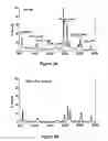 Fig. 04 - Enhanced zein reduction in transgenic corn seed