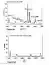 Fig. 07 - Enhanced zein reduction in transgenic corn seed