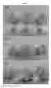 Fig. 02 - LITTER FOR USE IN ANIMAL KEEPING