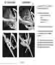 Fig. 04 - Rodent embryonic stem cell with conditional ACVR1 mutant alleles