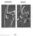 Fig. 06 - Rodent embryonic stem cell with conditional ACVR1 mutant alleles