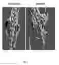 Fig. 07 - Rodent embryonic stem cell with conditional ACVR1 mutant alleles