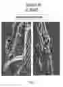 Fig. 10 - Rodent embryonic stem cell with conditional ACVR1 mutant alleles