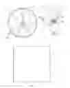 Fig. 15 - Pest control system and method